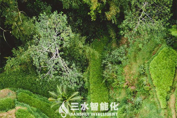 北京冬奧十大綠色低碳最佳實踐和技術(shù)報告發(fā)布